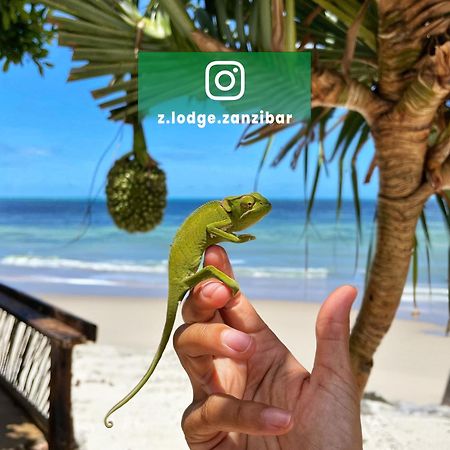 Z-Lodge Zanzibar كيوينجوا المظهر الخارجي الصورة