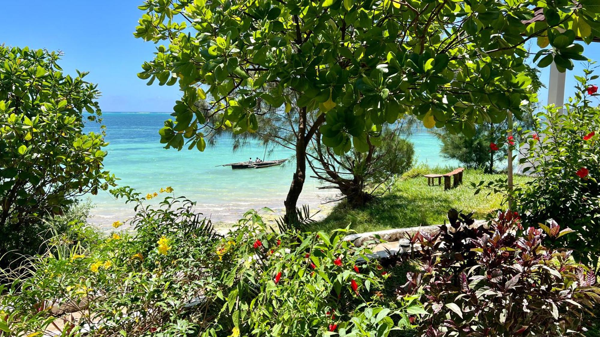 Z-Lodge Zanzibar كيوينجوا المظهر الخارجي الصورة