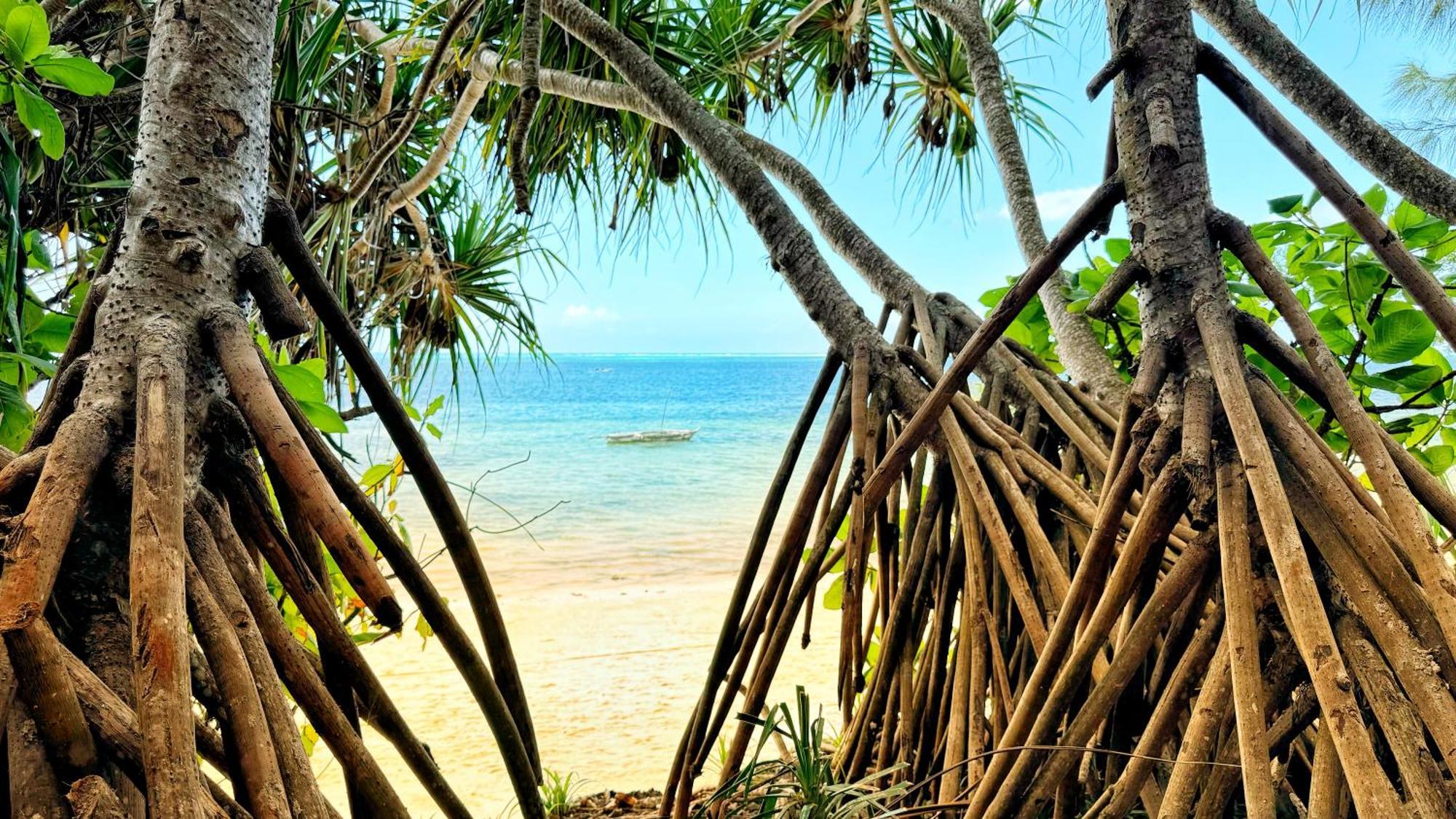 Z-Lodge Zanzibar كيوينجوا المظهر الخارجي الصورة